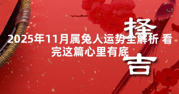 2025年11月属兔人运势全解析 看完这篇心里有底